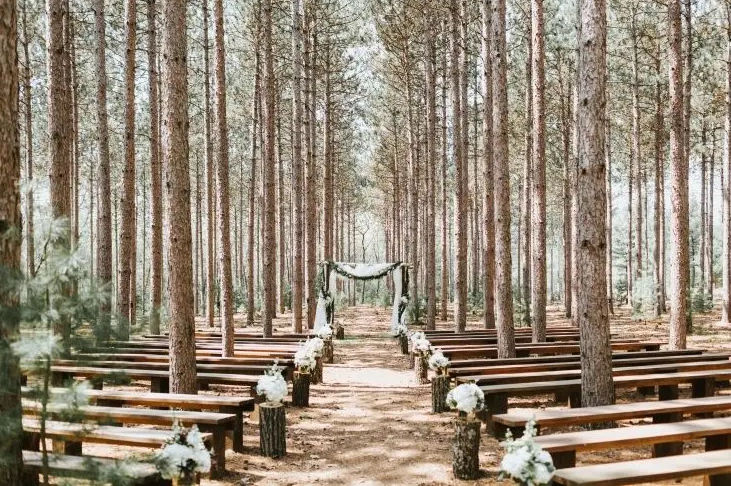 Experience Ivy's Wish Sanctuary