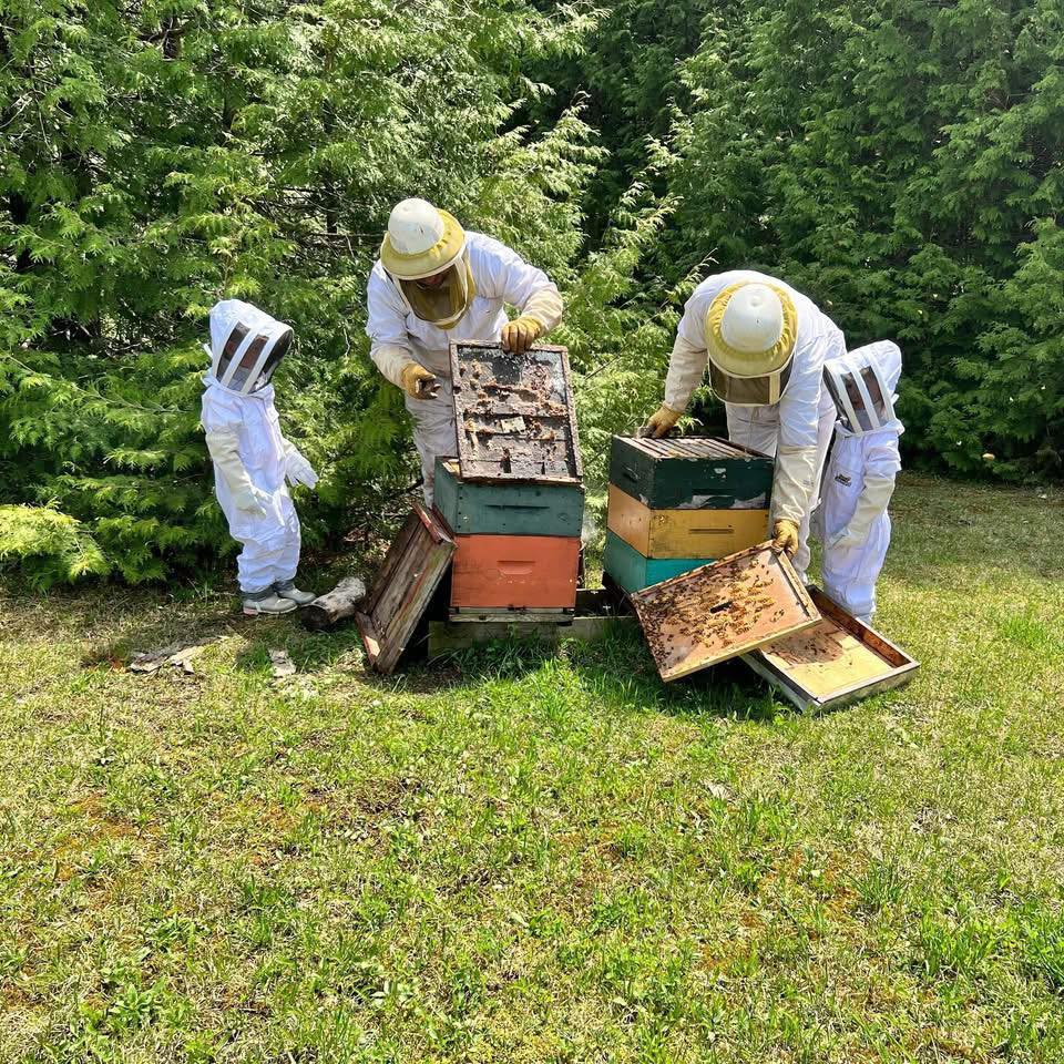 McPhail's Honey