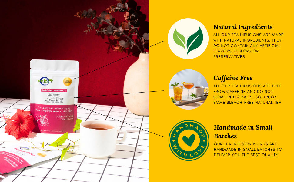 Hibiscus Lush Tea Infusion
